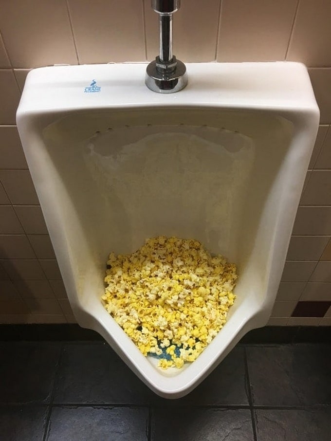 21 motivos que comprova que as pessoas perderam suas mente 12