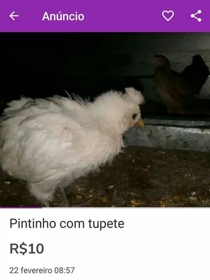 20 motivos que o brasileiro não pode vender e comprar coisas na internet 3