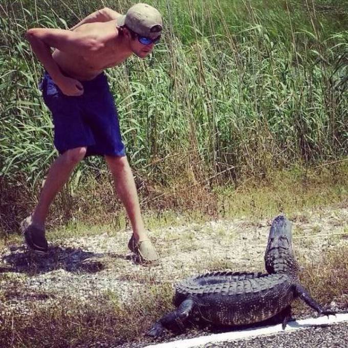 Nível de Esperteza: Zero (21 fotos) 4