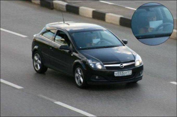 Nível de Esperteza: Zero (21 fotos) 8