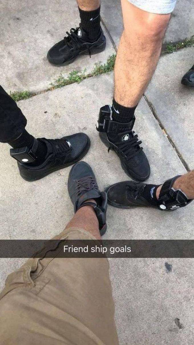 Nível de Esperteza: Zero (21 fotos) 9