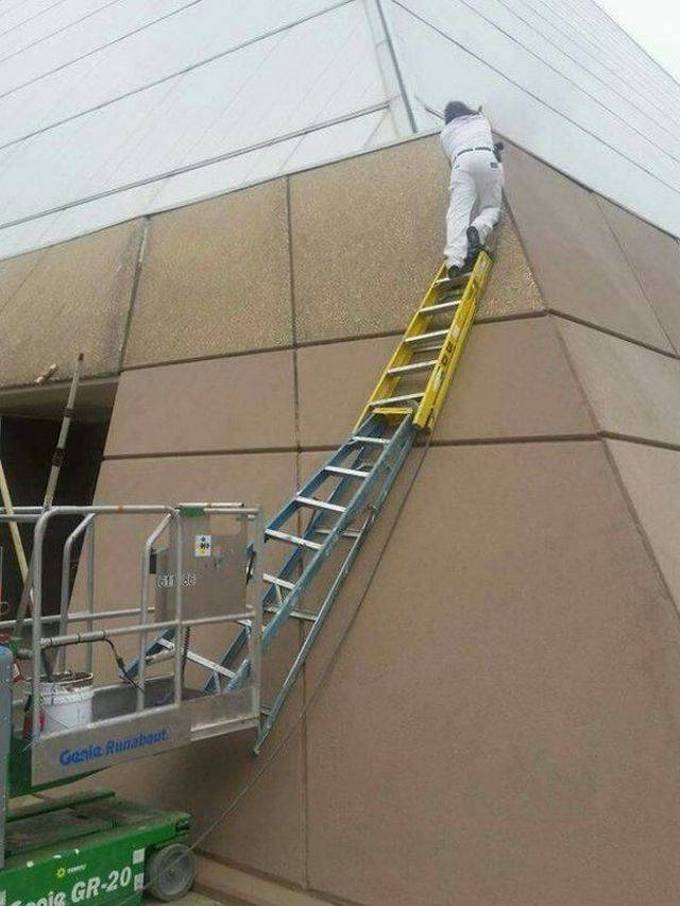 Nível de Esperteza: Zero (21 fotos) 15