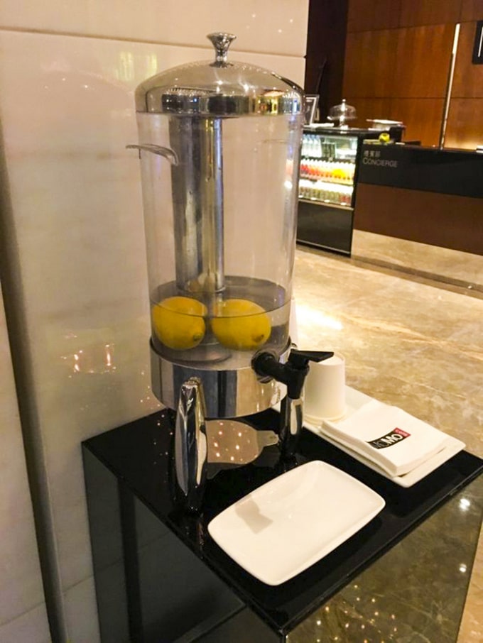 17 pessoas que são 50% preguiçosas e 50% gênios 5