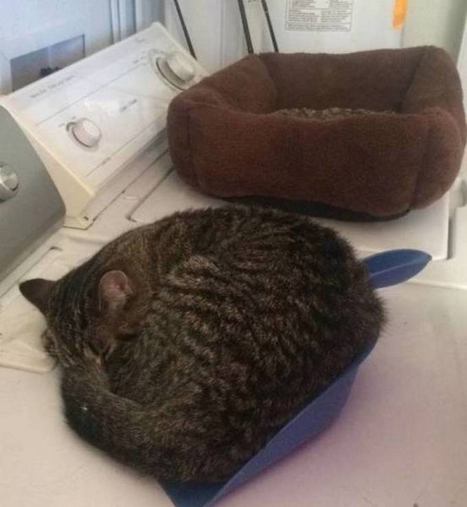 Algumas falhas são muito engraçados (29 fotos) 15