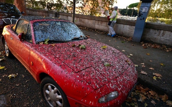 20 fotos com grandes falhas épicas que odiamos ser a estrela 7