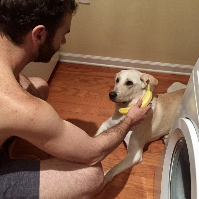 18 fotos provando que você é bêbado como um todo 1