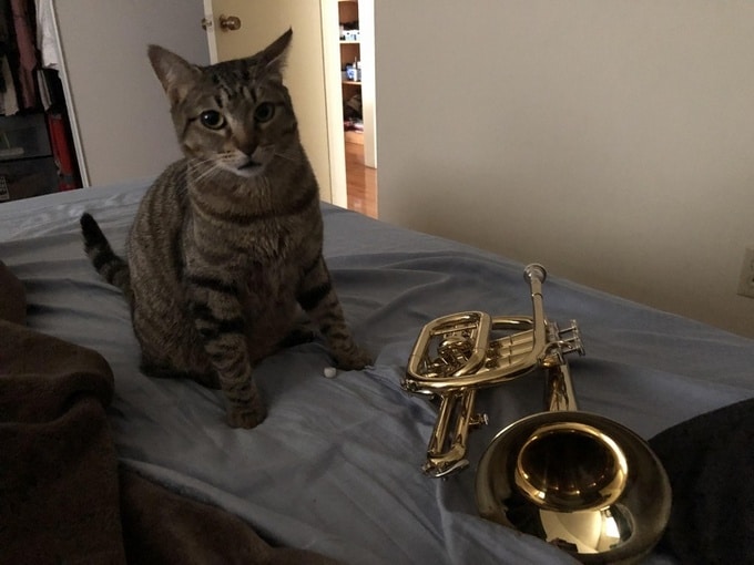 18 fotos provando que você é bêbado como um todo 12