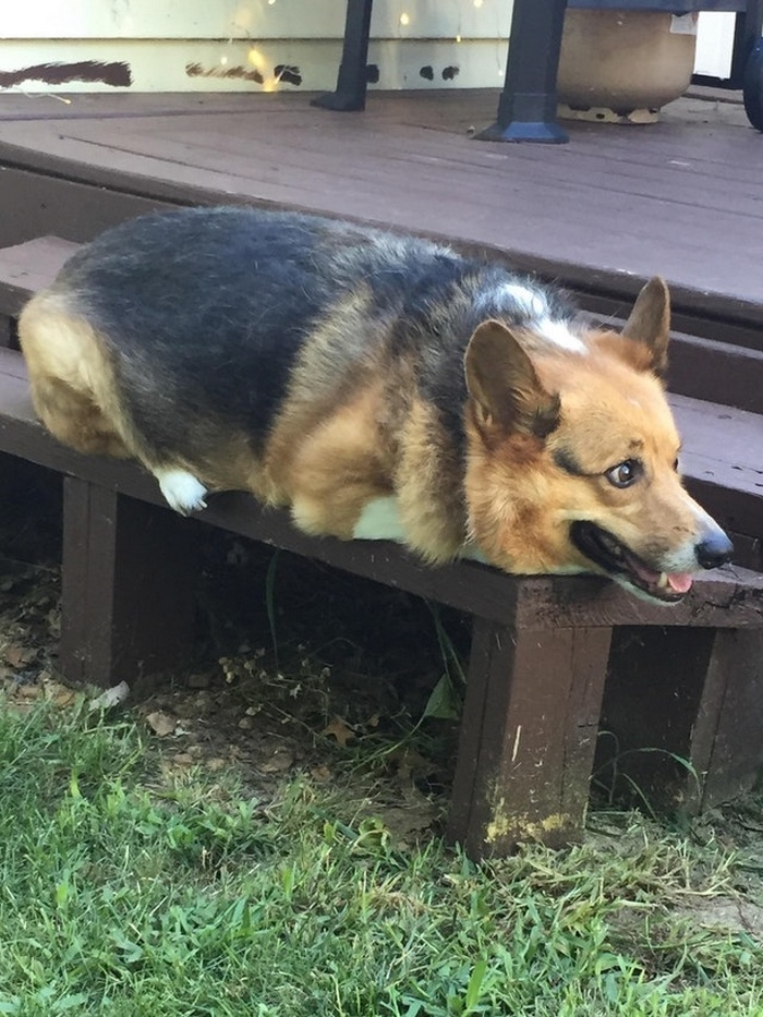 26 fotos que podem impressionar mesmo aqueles que já viram tudo 4