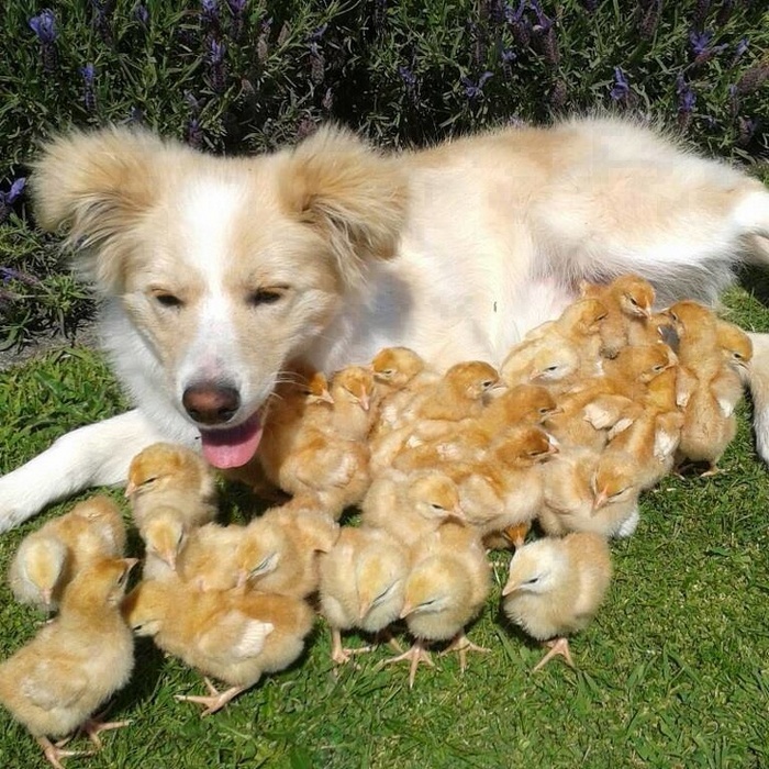 26 fotos que podem impressionar mesmo aqueles que já viram tudo 10