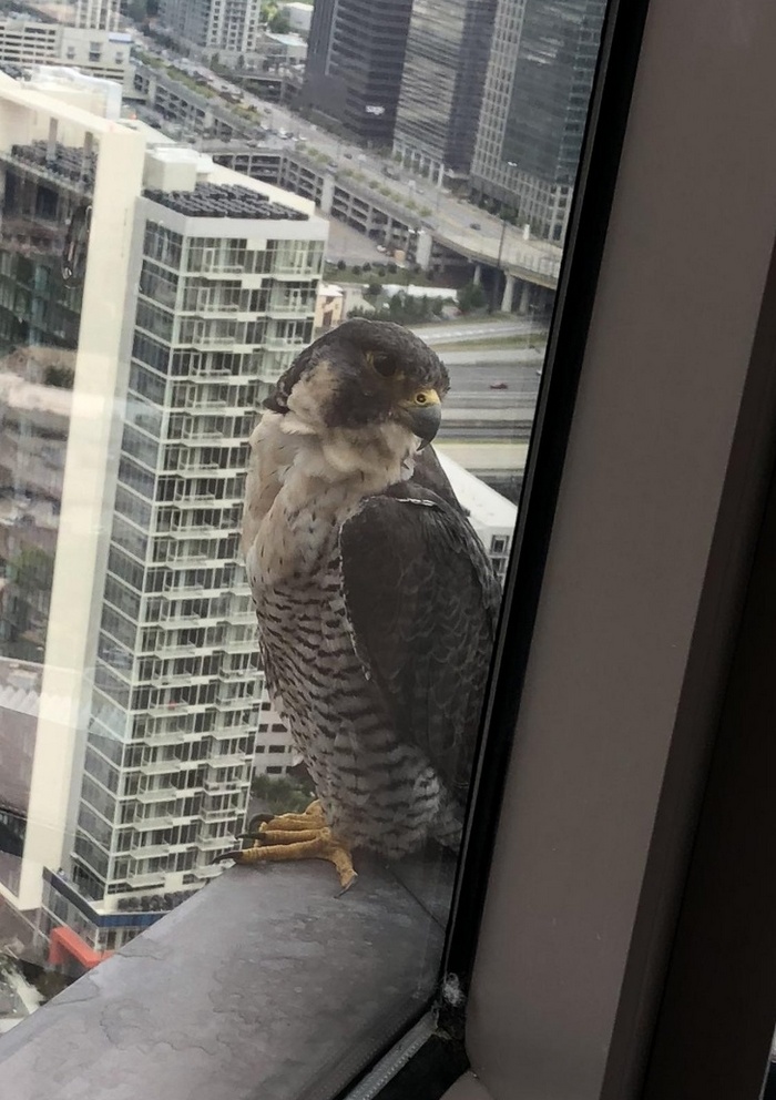 26 fotos que podem impressionar mesmo aqueles que já viram tudo 19