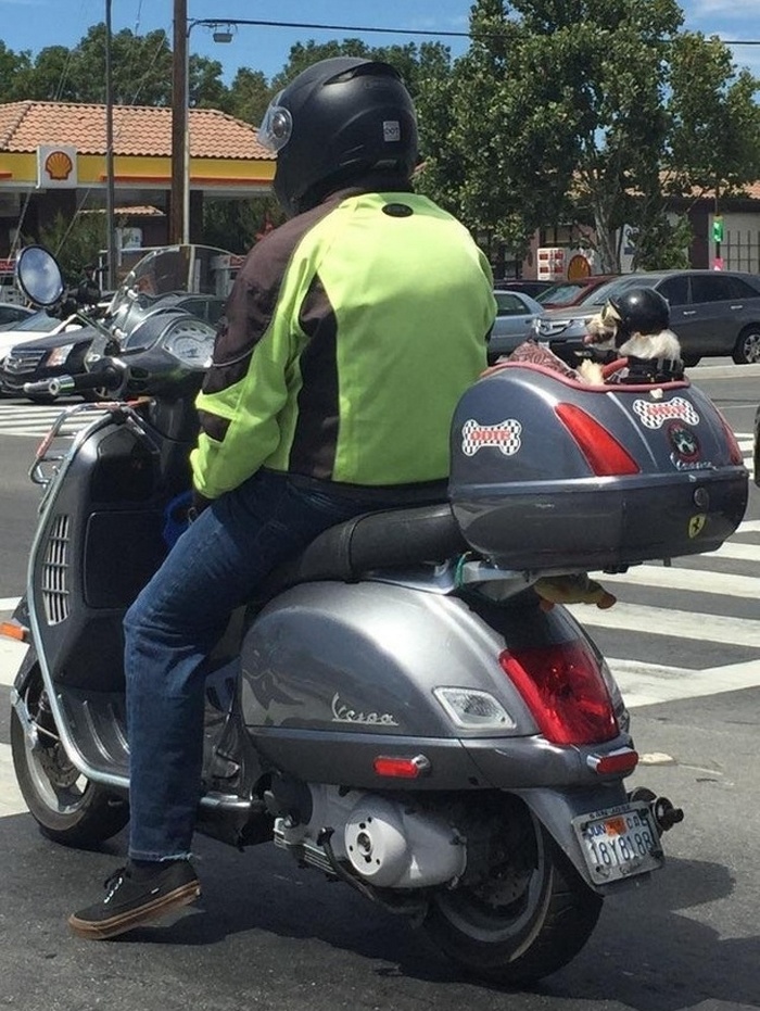 26 fotos que podem impressionar mesmo aqueles que já viram tudo 24