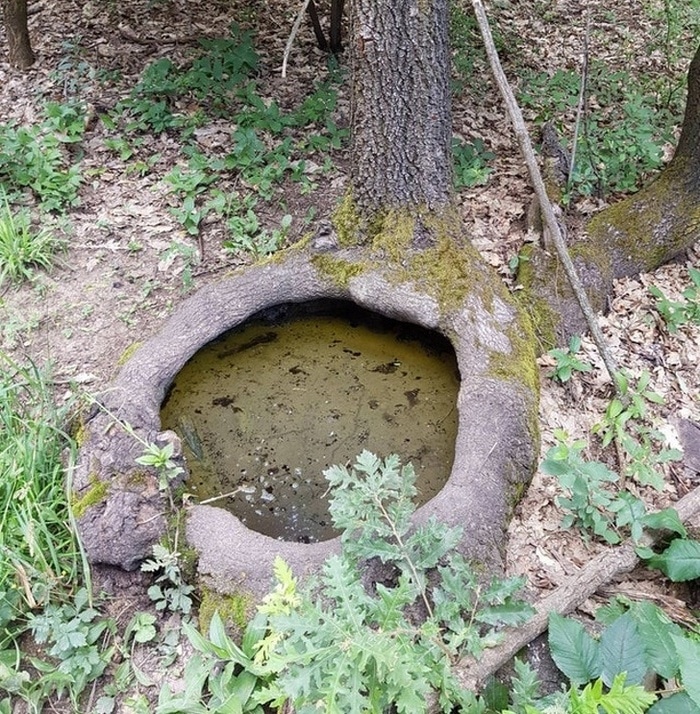 26 fotos que podem impressionar mesmo aqueles que já viram tudo 25