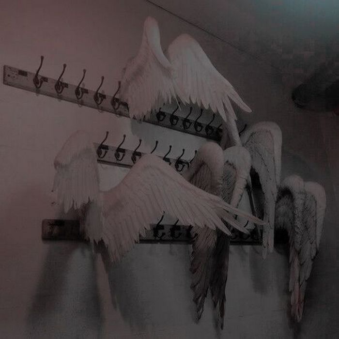 26 fotos que podem impressionar mesmo aqueles que já viram tudo 26