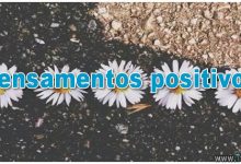 115 pensamentos positivos 9