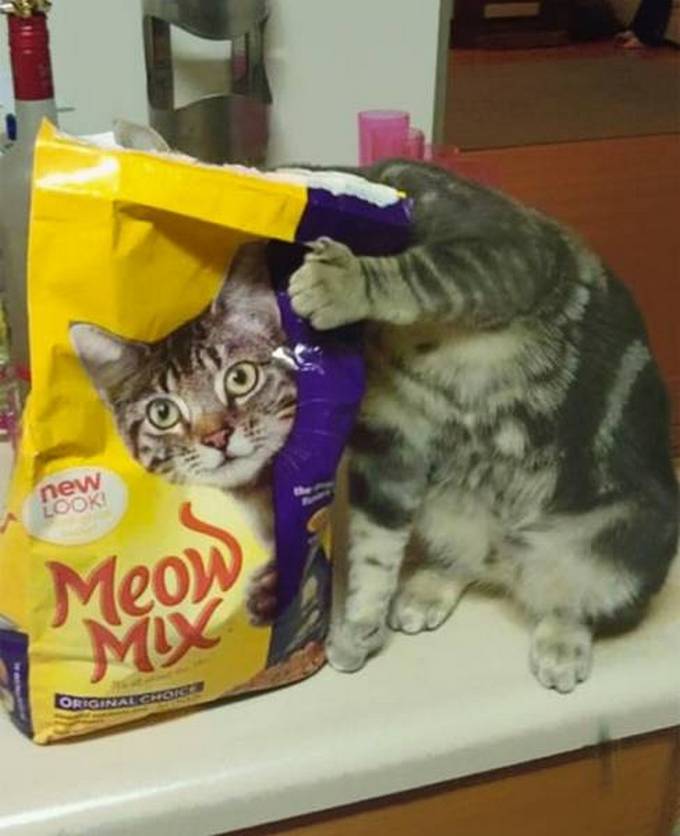 Seus olhos não serão capazes de processar isso (30 fotos) 7