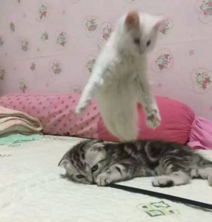 Seus olhos não serão capazes de processar isso (30 fotos) 12