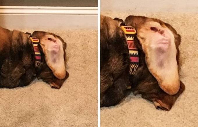 Seus olhos não serão capazes de processar isso (30 fotos) 13