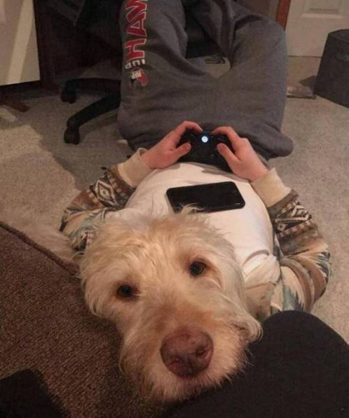 Seus olhos não serão capazes de processar isso (30 fotos) 14