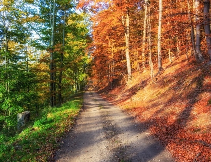 17 vezes que a realidade era muito mais impressionante que o Photoshop 1