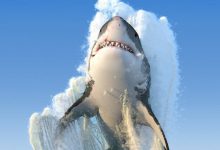 17 vezes que a realidade era muito mais impressionante que o Photoshop 32