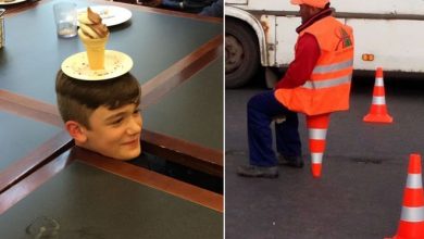 17 atos de estupidez que as pessoas realmente fazem 10