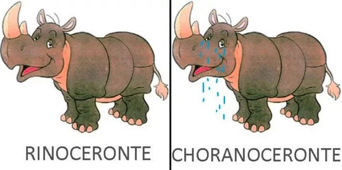 40 das piores piadas do mundo 13