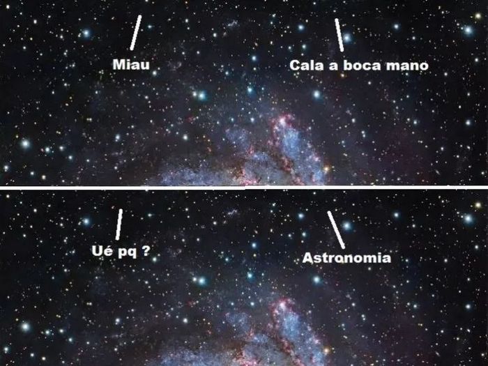 40 das piores piadas do mundo 23