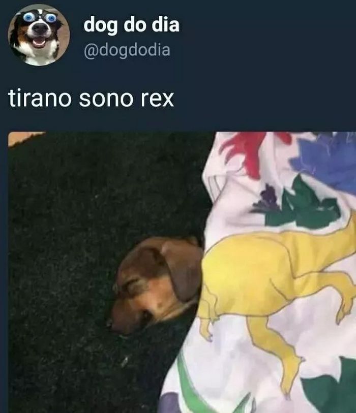 40 das piores piadas do mundo 24