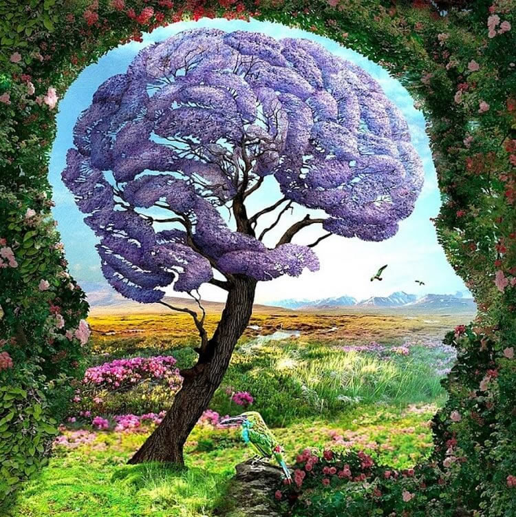 Descubra um segredo do seu inconsciente 1