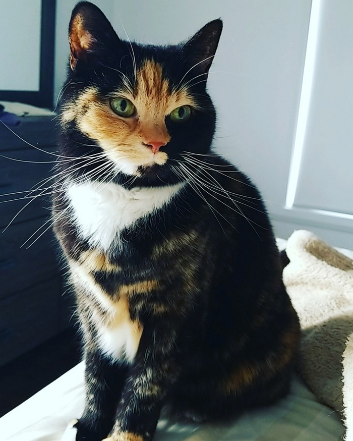 24 fotos de animais que vão fazer você sorrir 11