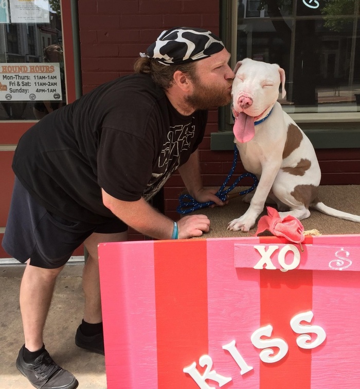 24 fotos de animais que vão fazer você sorrir 24