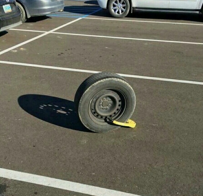 15 fotos de pessoas fazendo coisas absurdas, não sabemos se devemos rir ou chorar 1