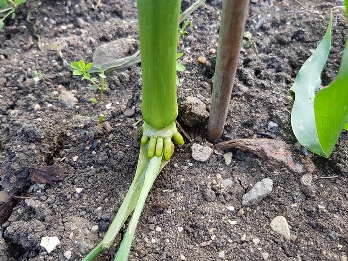 27 fotos desconcertantes nós lutamos para compreender 19