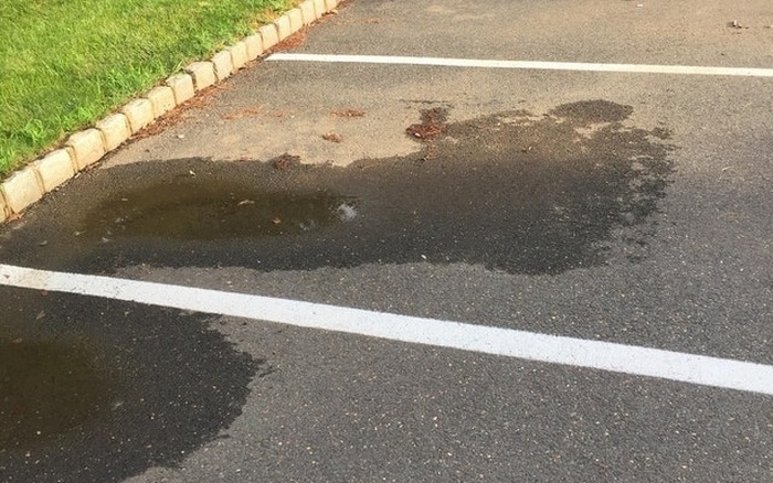 27 fotos desconcertantes nós lutamos para compreender 22