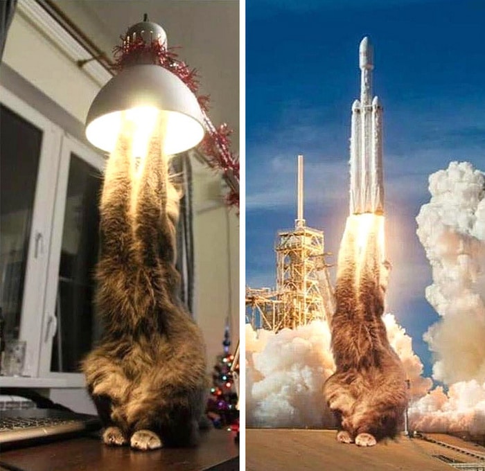 14 fotos desconcertantes que são muito estranhas para este mundo 4