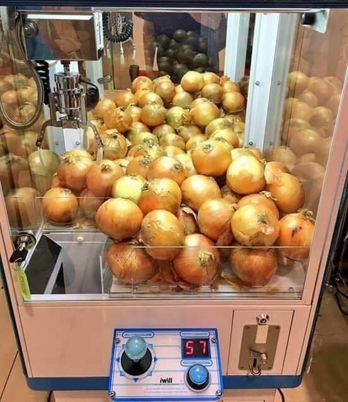 14 fotos desconcertantes que são muito estranhas para este mundo 6