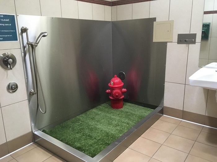 14 fotos desconcertantes que são muito estranhas para este mundo 10