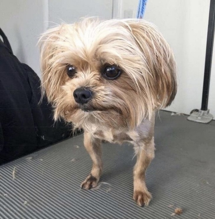12 fotos onde precisamos olhar duas vezes para entender 1