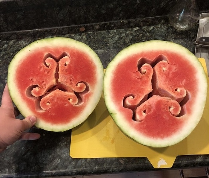 24 fotos perfeitas que podem fazer você se sentir extremamente satisfeito 24