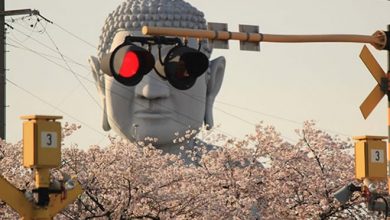 24 fotos perfeitas que podem fazer você se sentir extremamente satisfeito 33