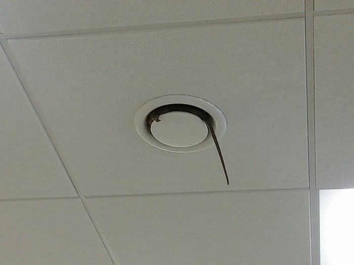 21 fotos que aumentam o nível de adrenalina no sangue 10