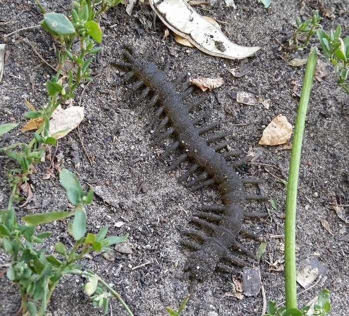 21 fotos que aumentam o nível de adrenalina no sangue 14