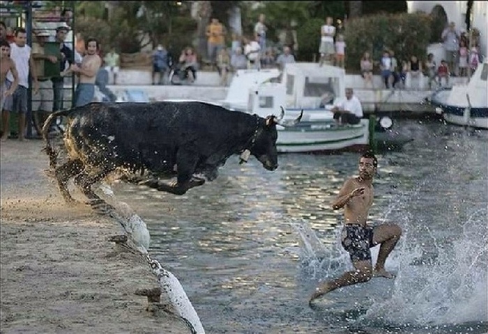 21 fotos que aumentam o nível de adrenalina no sangue 21