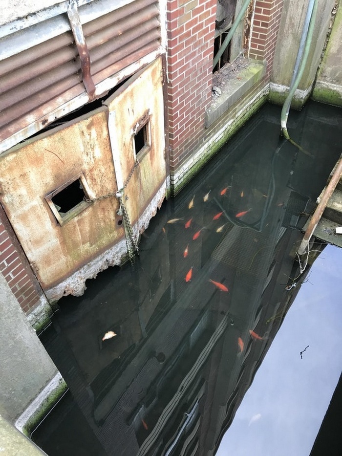 13 fotos que realizam truques mentais em você 8