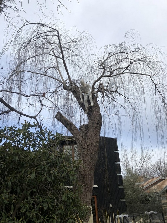 13 fotos que realizam truques mentais em você 9