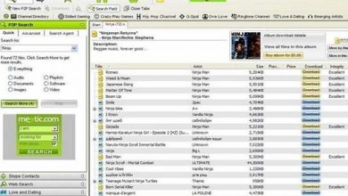 10 lembranças de sofrimentos que só quem baixava música tem 25