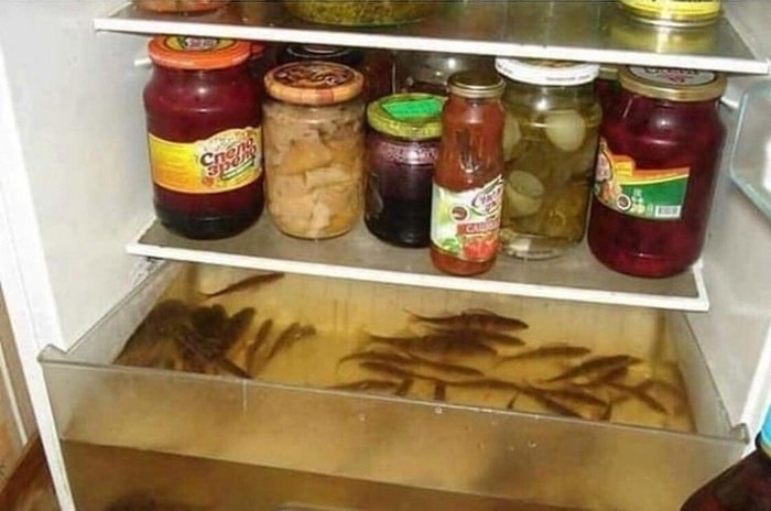 24 pessoas cuja lógica quebra todos os limites 20