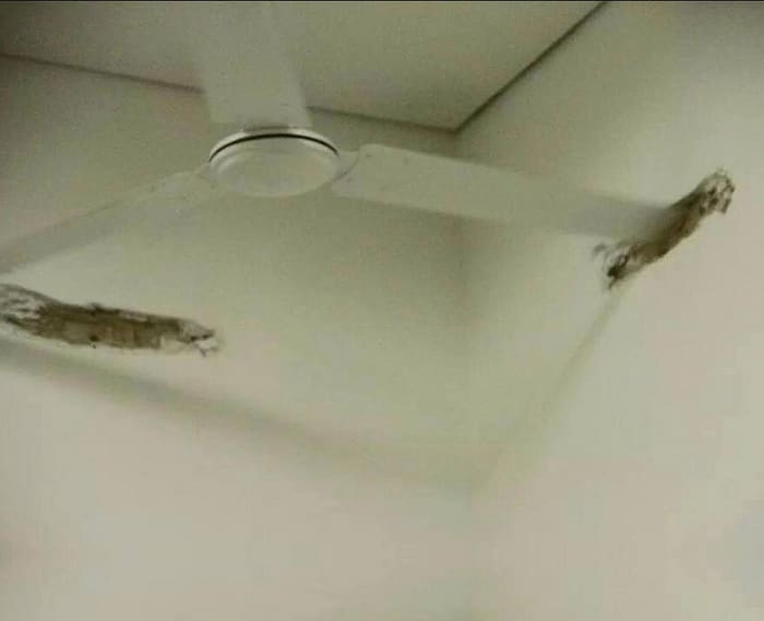 14 pessoas que falhou no seu primeiro dia no emprego 6