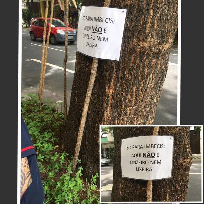 41 placas do jeitinho brasileiros 22