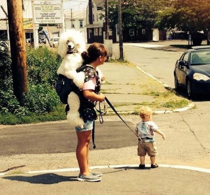 23 situações estranhas dificilmente alguém consegue explicar 12